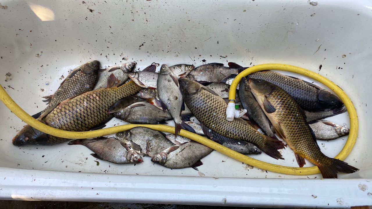 изображение_viber_2023-05-06_19-56-17-412