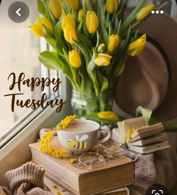 Screenshot_20230717_220637_Pinterest