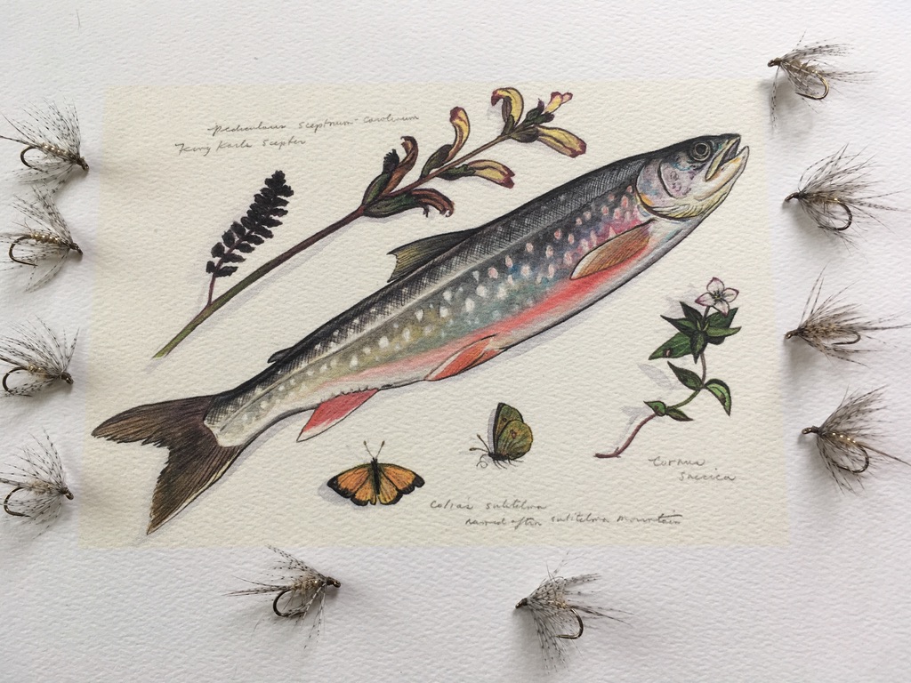 Hare's Ear, Partridge & Tinsel - 01