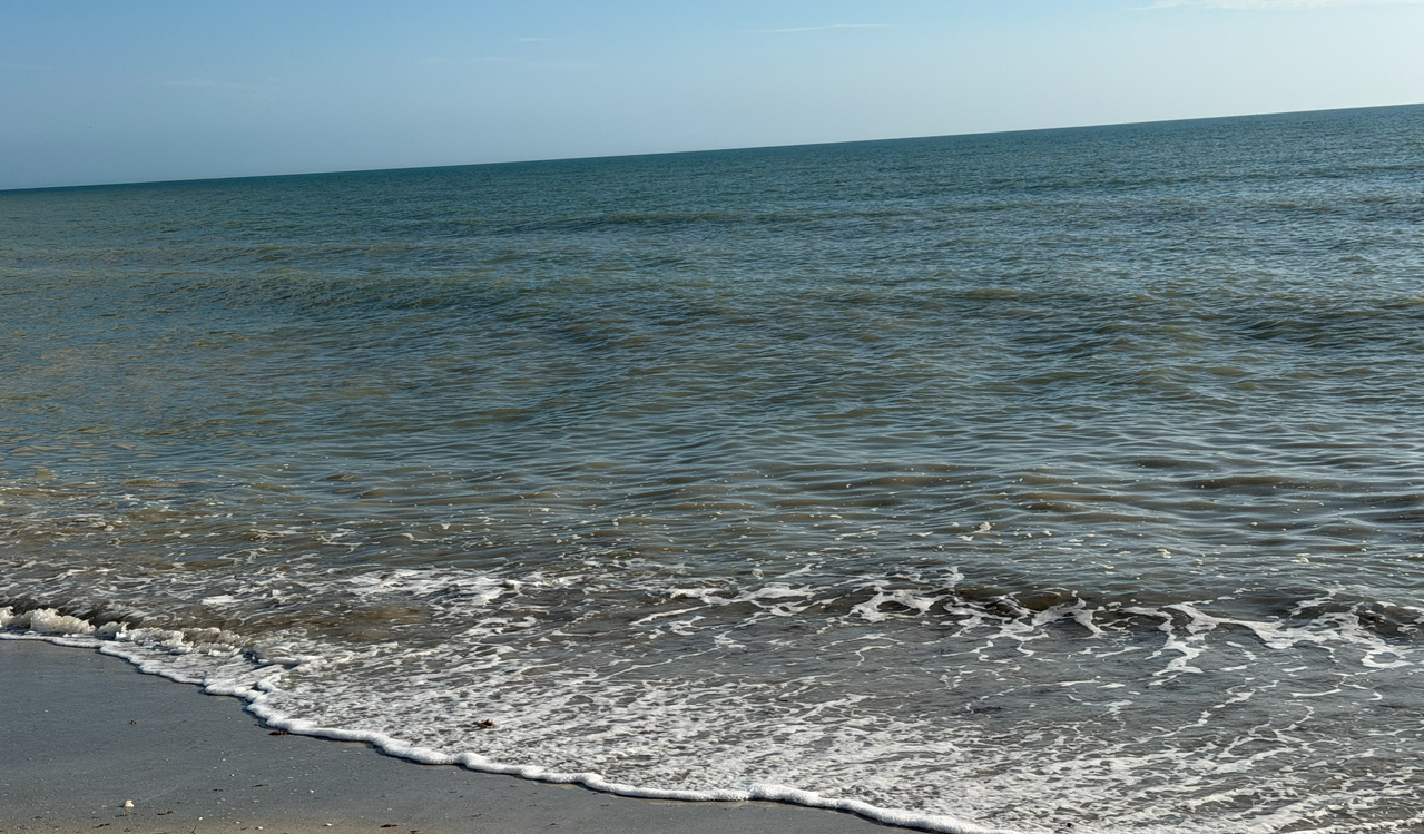 [Image: Sanibel-Island13.png]