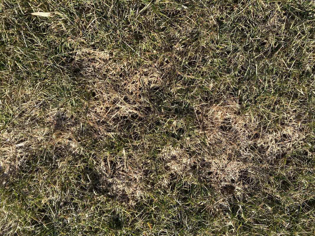 4D4ADD5F-A9AB-41F3-9B46-F8C4688F1818