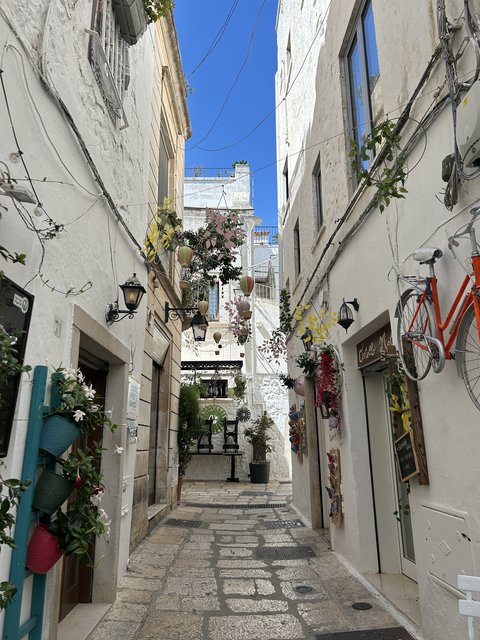 Balcanes - Apulia - Blogs de Europa - Locorotondo, Cisternino y Alberobello (19)