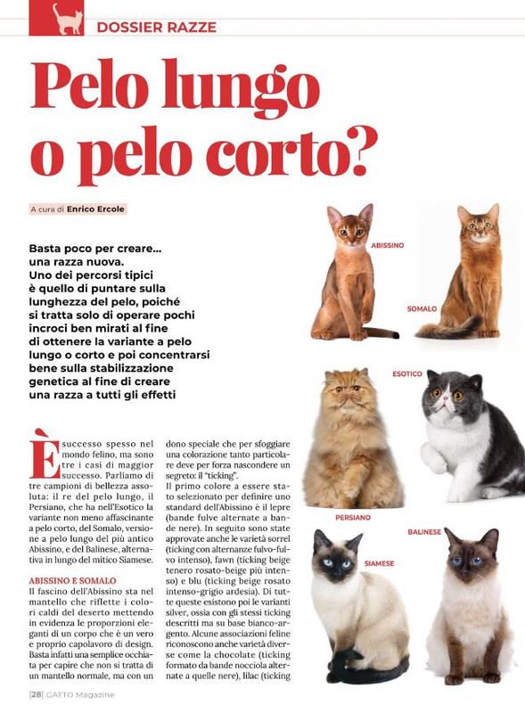 Ga Ma Giu-Lug 2022 (3)