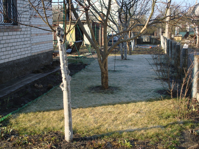 DSC02501