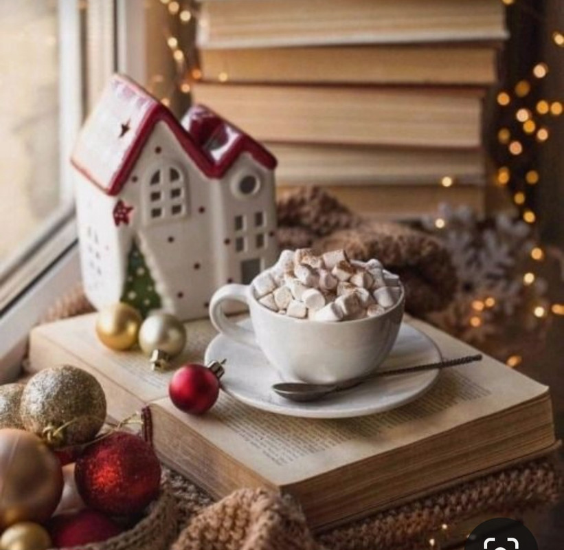 Screenshot_20231204_213348_Pinterest