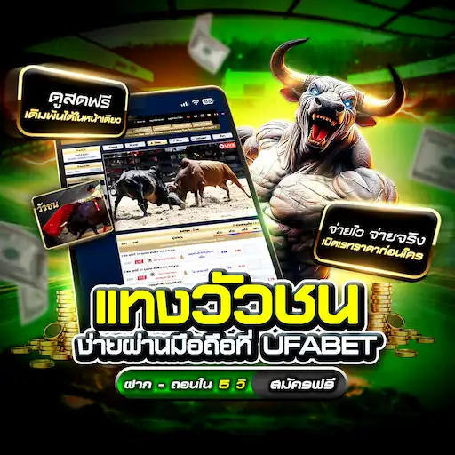 วัวชนวันนี้