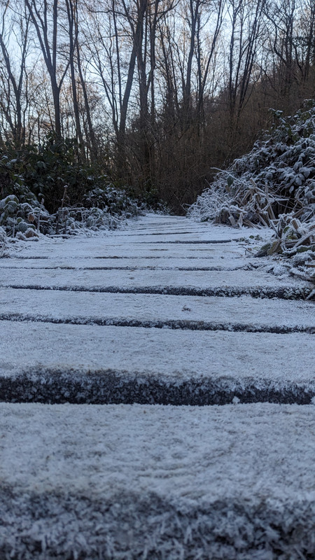 PXL 20260104 113416785