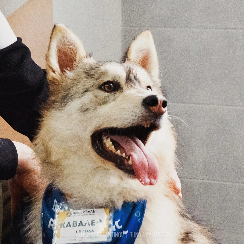 5BAF41F8-DCA8-4B7F-A75F-8181006F9850