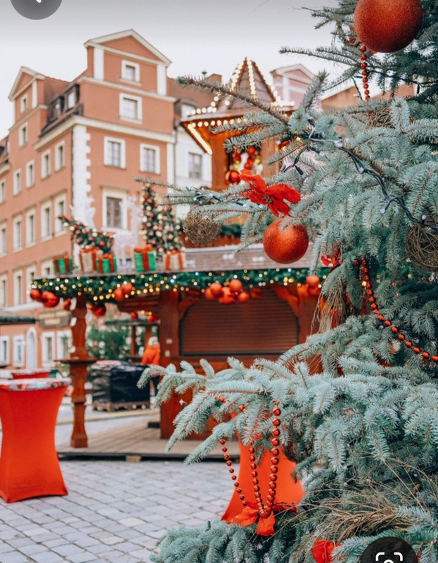 Screenshot_20231205_192118_Pinterest