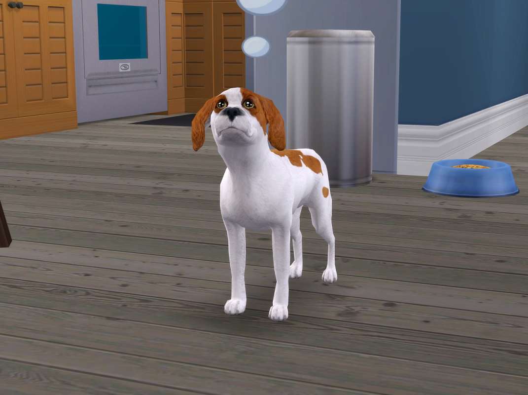 ksnip-20250223-154909