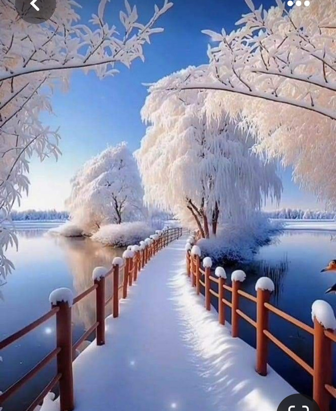 Screenshot_20230524_123751_Pinterest