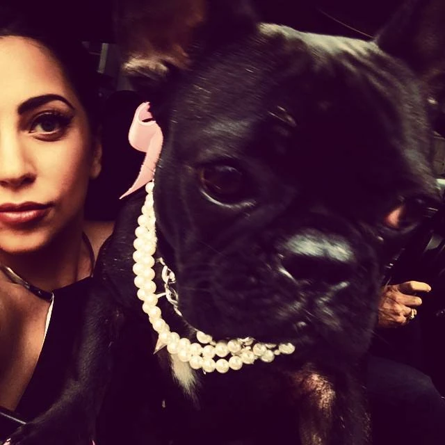 12-6-14-Instagram-001.webp