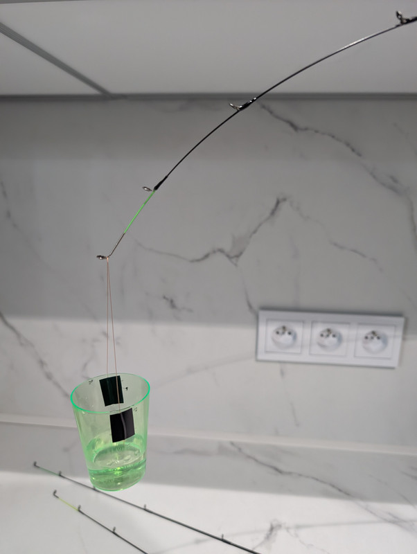 PXL 20260213 080020889