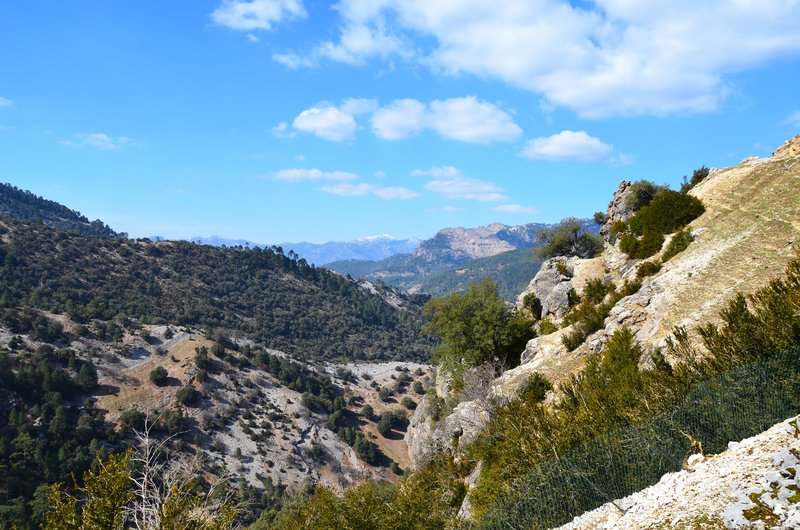 RUTA RIO BOROSA-12-3-2016-JAEN - Paseando por España-1991/2016 (127)