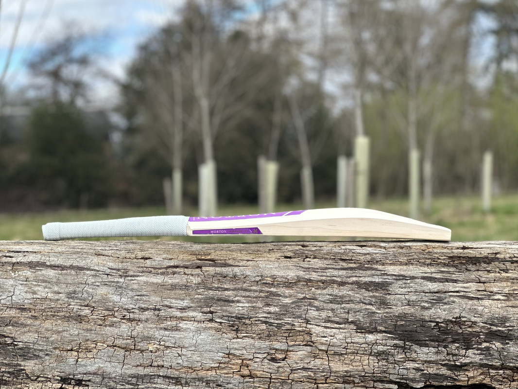 06AA3C81-CC6D-4E01-AA5A-7C01E4A6C09F