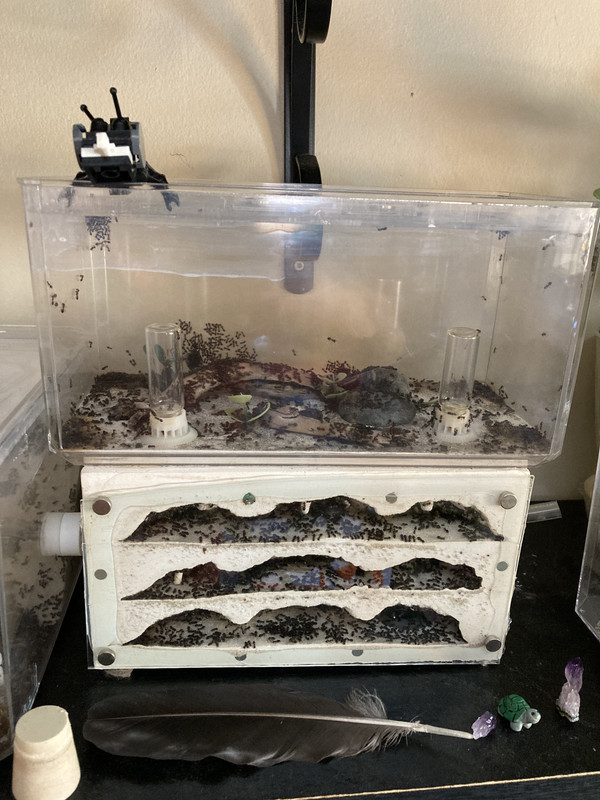 D38E36C5-8FEE-43C0-8D36-E5678C8054F2