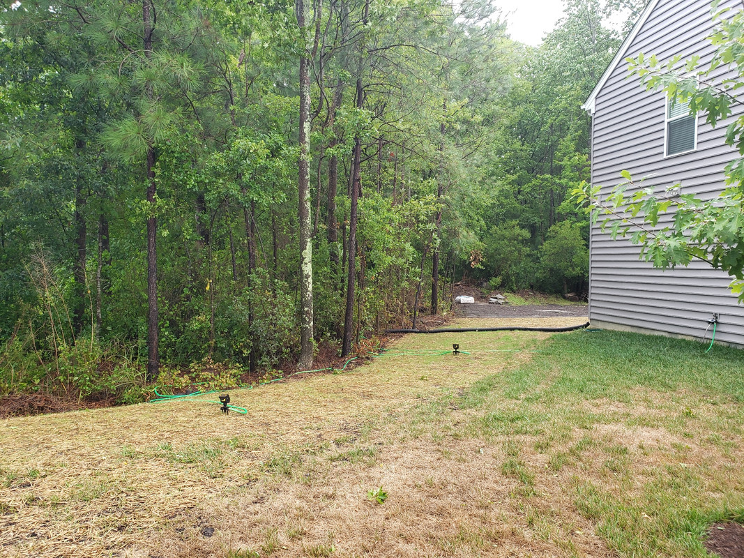 New Construction Lawn Renovation and a Touch of Drama Lawn Care Forum