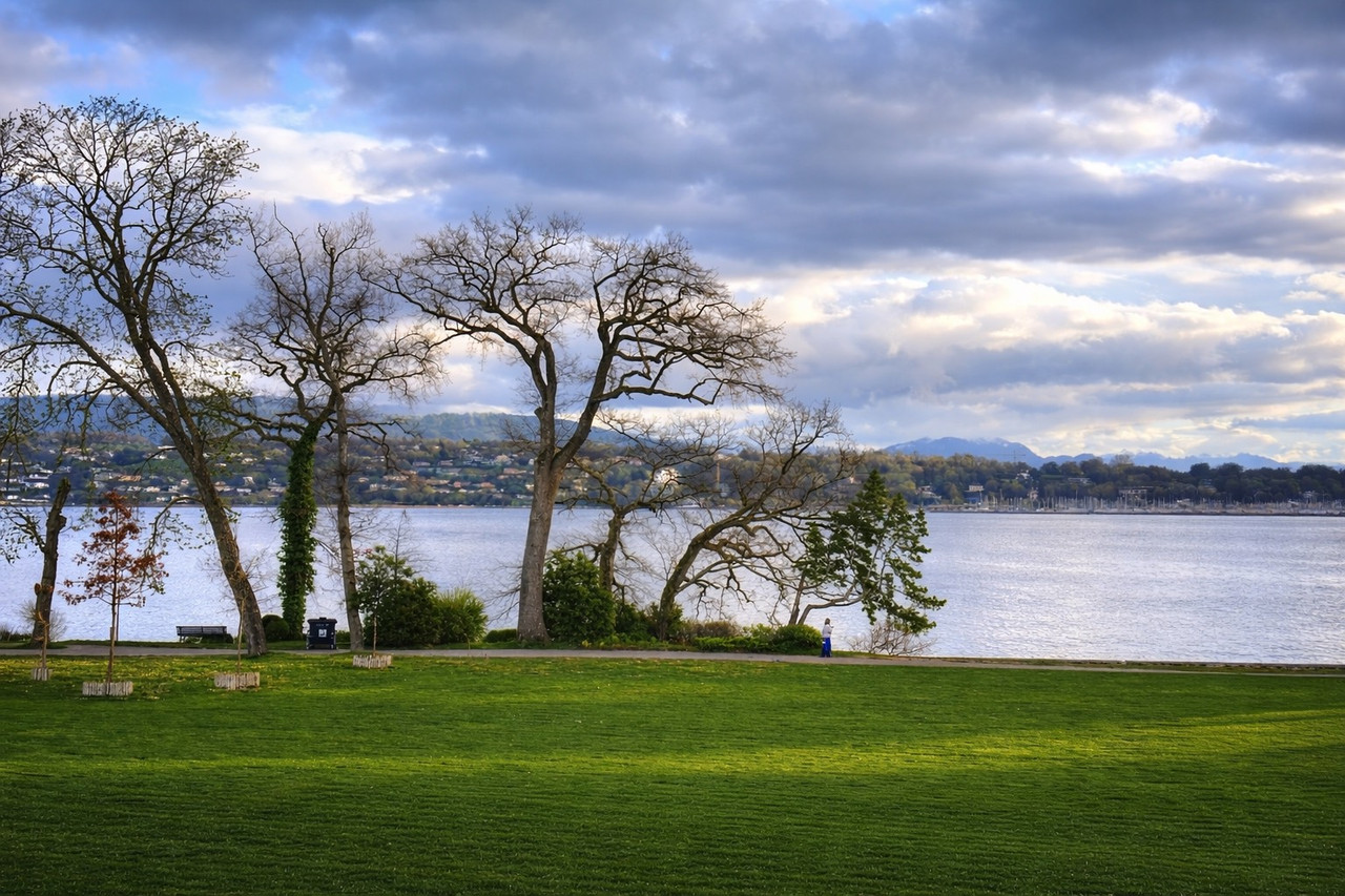 Lac Léman et quais de Genève