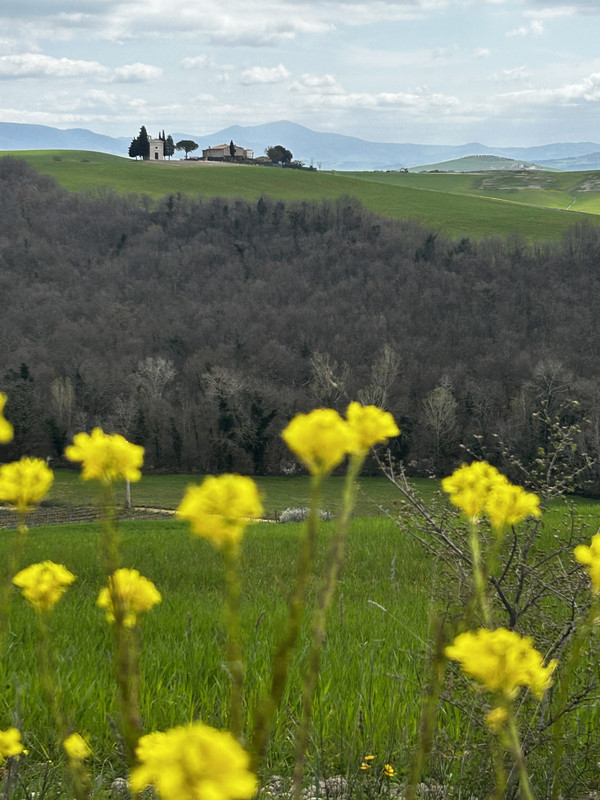 CBEC4459-25F4-4ED3-89AB-4C376886B786