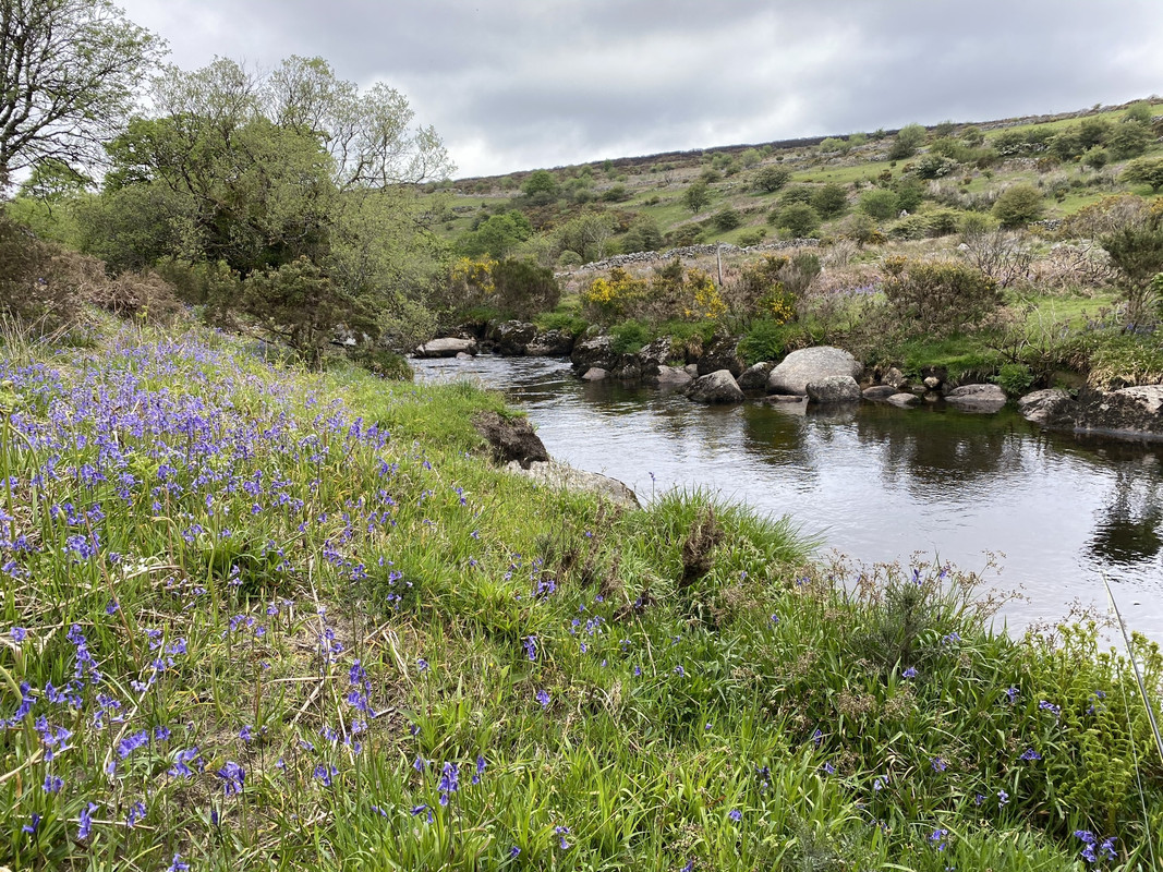 39C2BDAE-5E02-4534-A569-18F27626547B