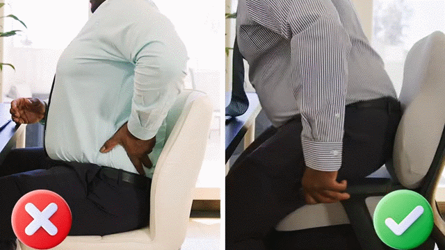 Coushy Seat Cushion