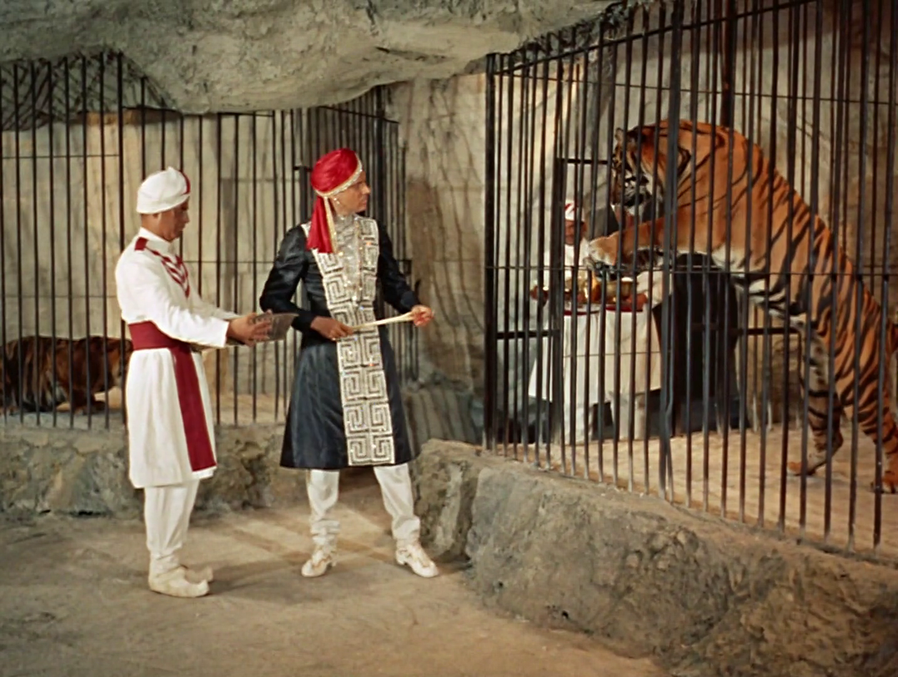 vlcsnap 2026 01 06 17h49m57s645