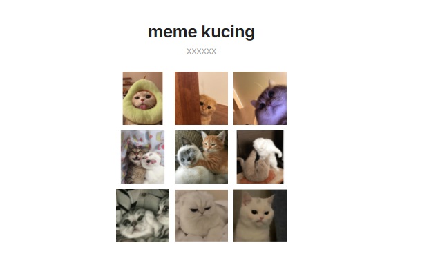 Stiker bergerak WA Meme Kucing