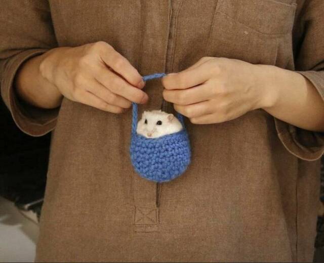 picdump-kw28-2025-003.jpg