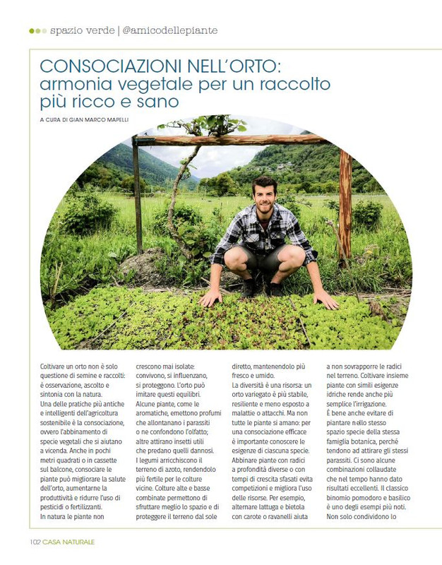 ca NAT Lug-Ago 2025 (7)