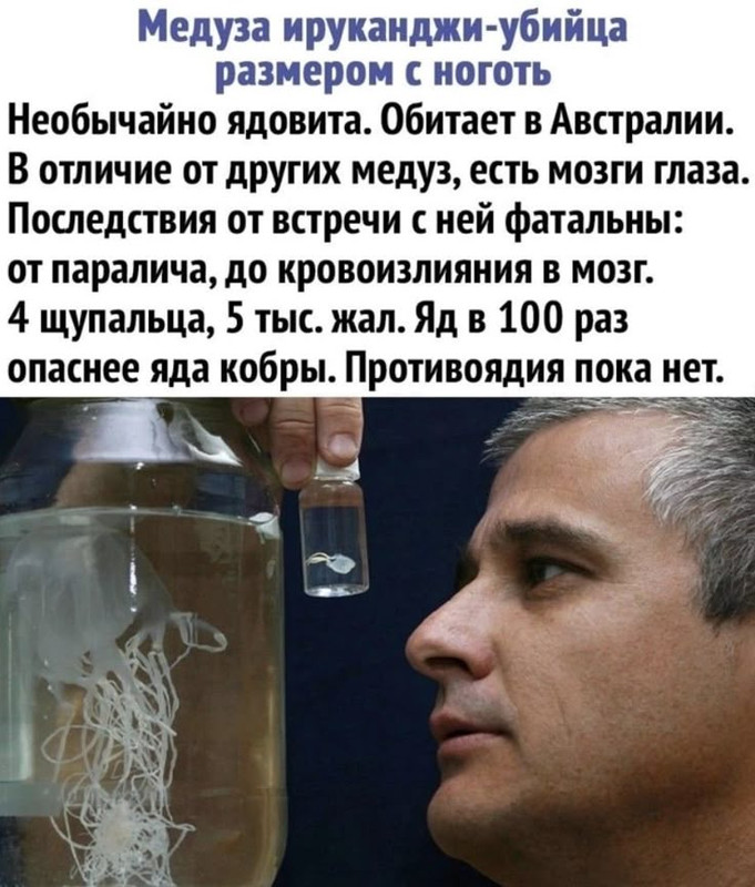 [Изображение: 69a8149d35c9f49a17b5316eff18e273.jpg]