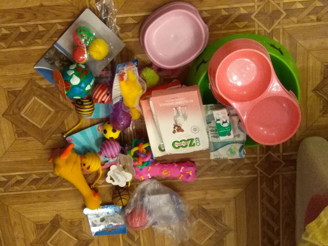 помощь свадьба АртемНаталья3