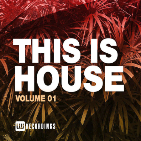 VA - This Is House Vol. 01 (2020)