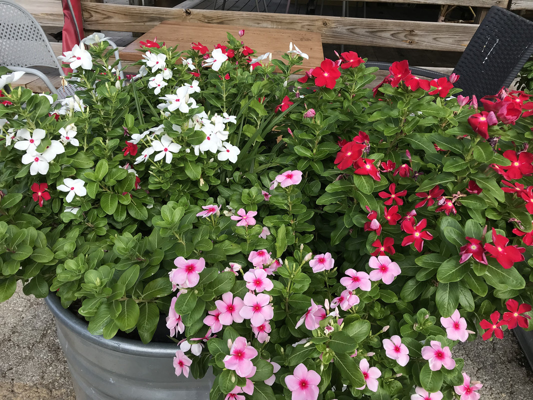 8BD53597-ADC1-452E-AF7C-199AA8FD68C2