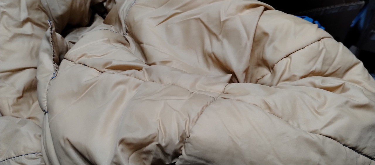 IMG 20241017 155015316