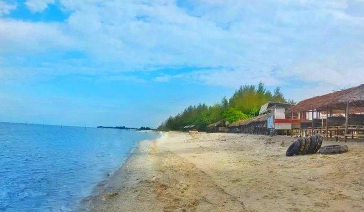 Aktivitas Menarik yang Bisa Dilakukan
