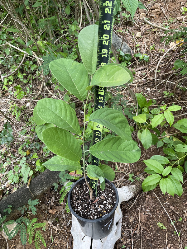 9A002DF6-58CA-4307-A5FF-BCC7772E0C76