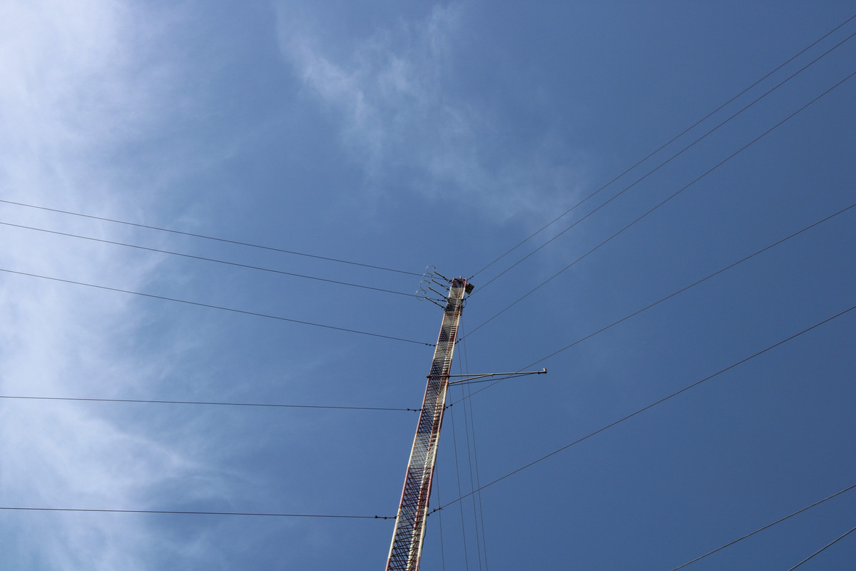 20210406150651_IMG_0226