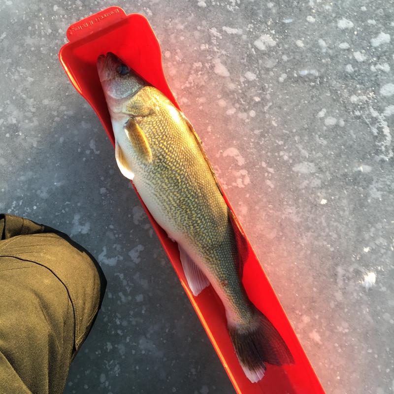 F6C14235-8D70-485C-A535-AD797C9612D1