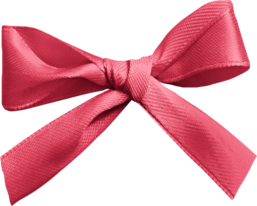 BIBI-PINK ANGEL ELEMS (65)