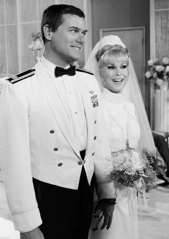 Barbara_Eden_c72
