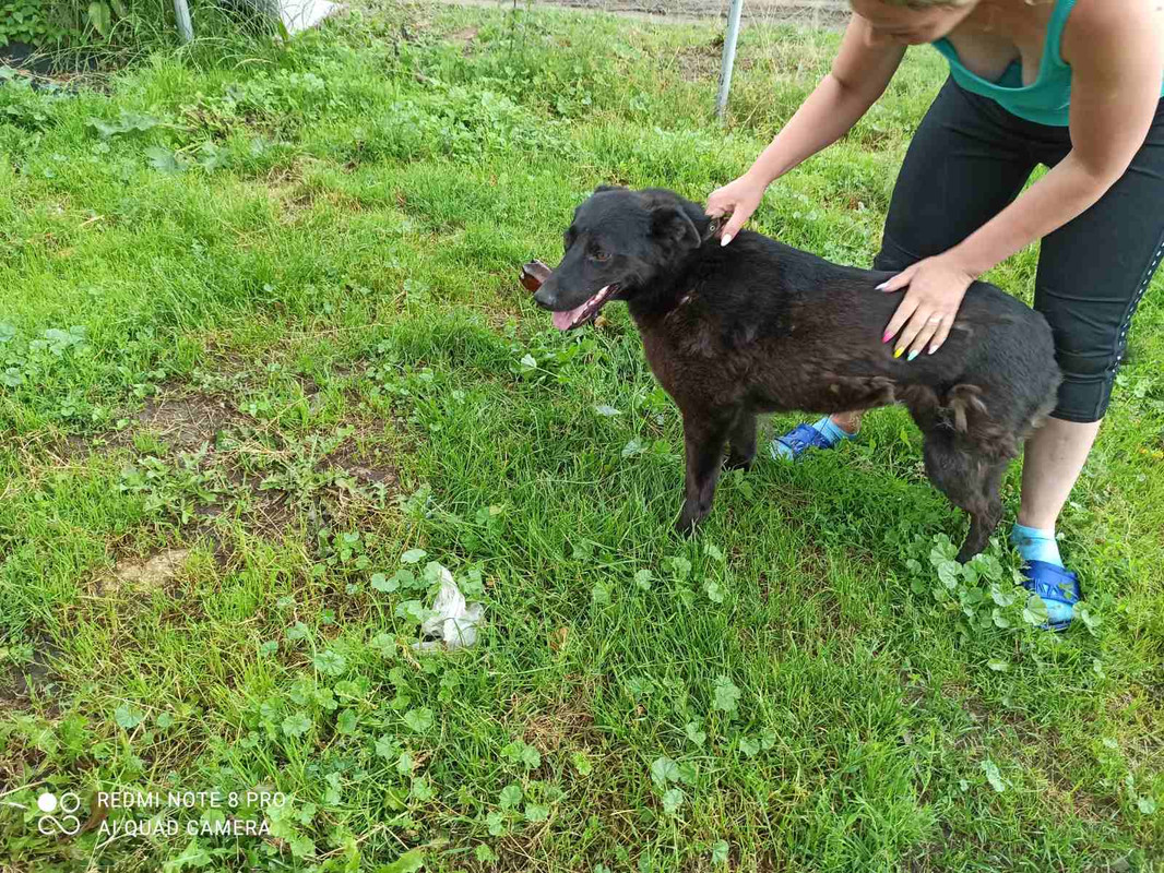 61C8C3B5-AA28-48E1-AD8A-E0D0A706EACC