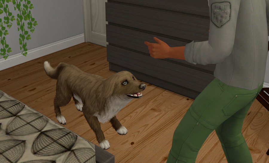 Sims2-EP9-2021-03-25-22-51-01-46