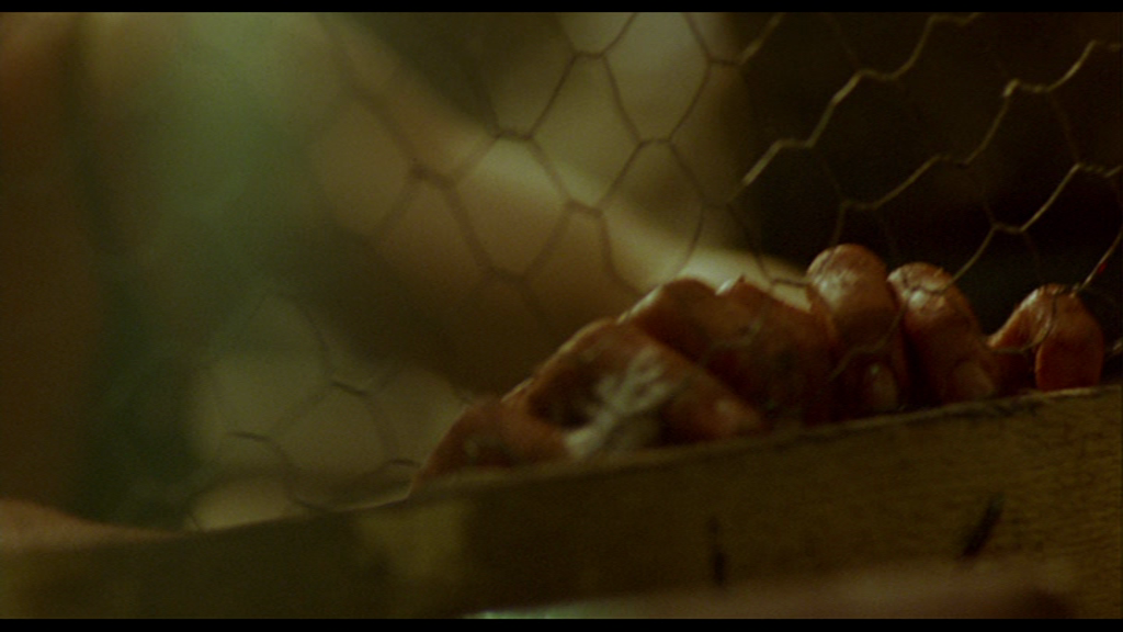 vlcsnap-2017-06-21-12h02m59s169