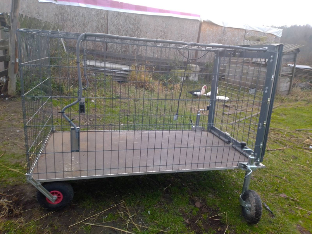 1525E660-07D6-4845-8A88-A73923F4C81F