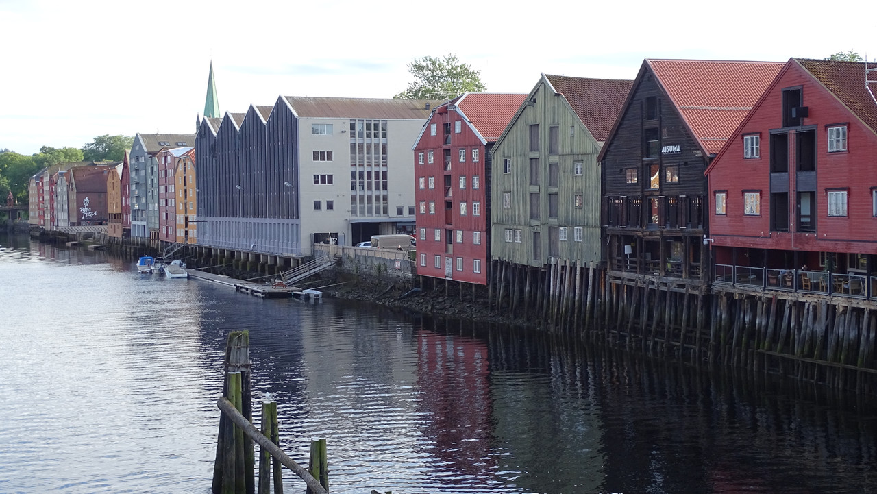 DSC01084.jpg