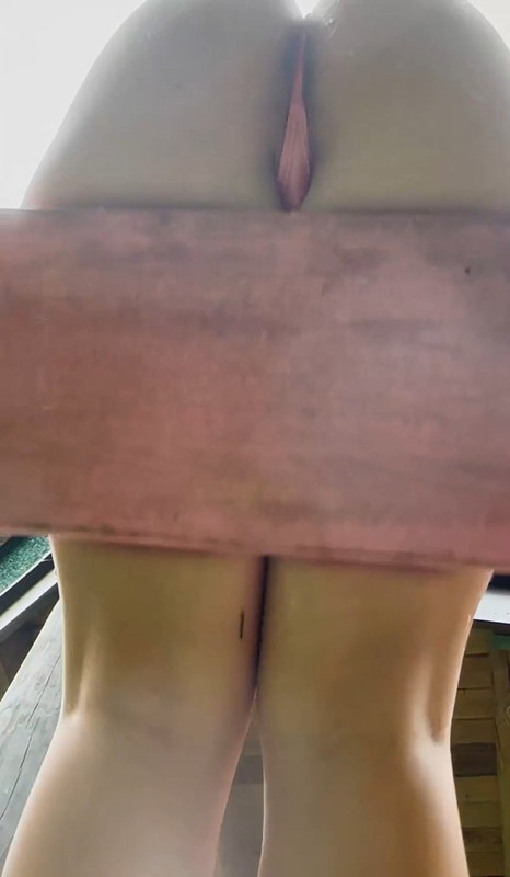 PVZ-swinging-on-a-swing-of-07