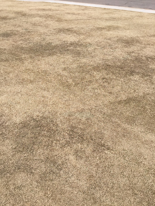 89829C9A-C924-428D-A70F-32458CD743E5