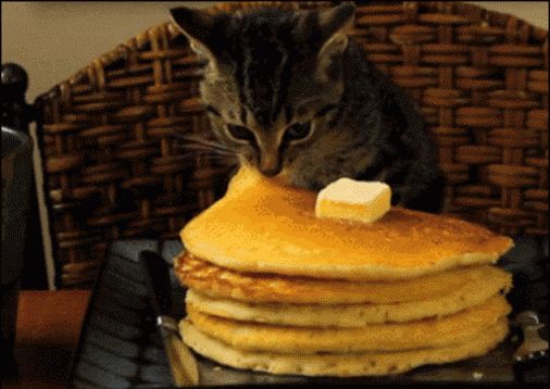 gg-gi-f-2-gif-gif-gif-gif-gif