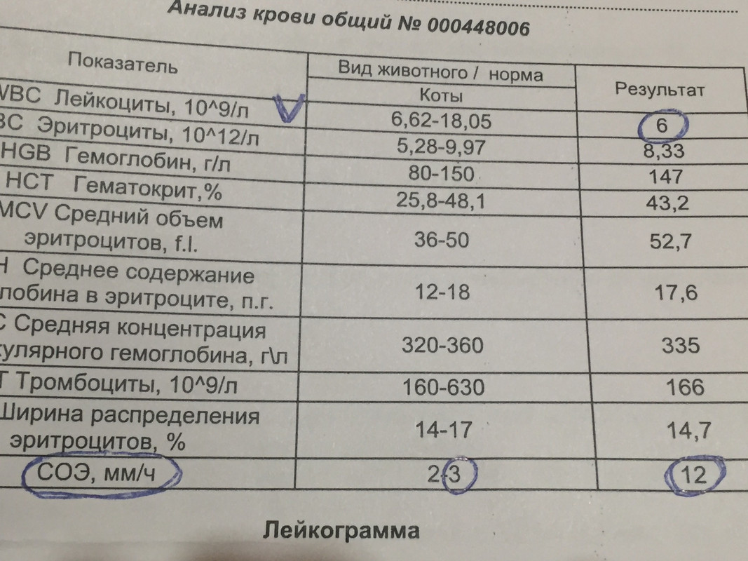 FC72A7C4-D8DB-4D46-B49E-F3BC0E0752F5