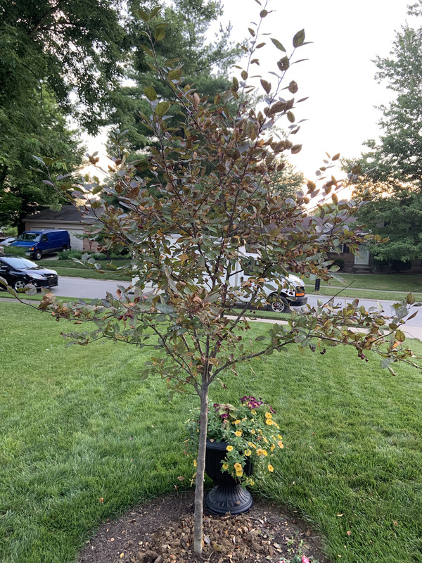 1AD18289-798C-4A9B-9739-E67EC59A60BC